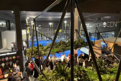 IMG-20211117-WA0036
