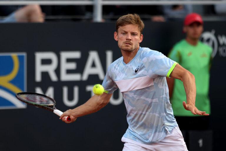 Il diritto di David Goffin
