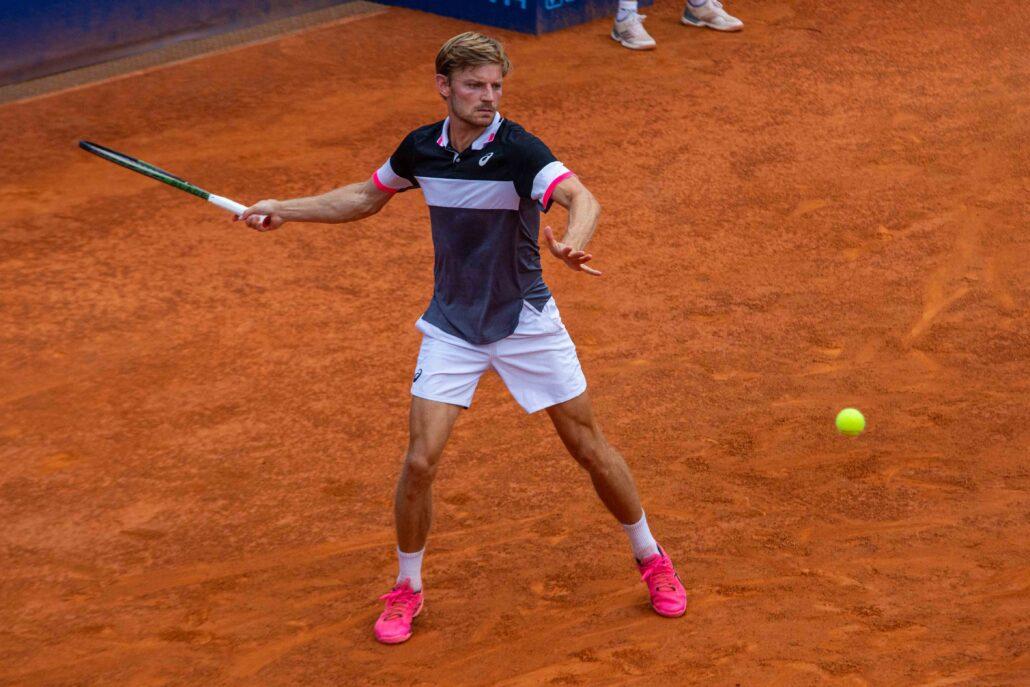 David Goffin